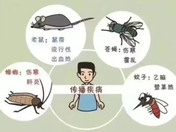 旬阳专业除四害灭鼠灭蟑螂 专业消杀机构单位