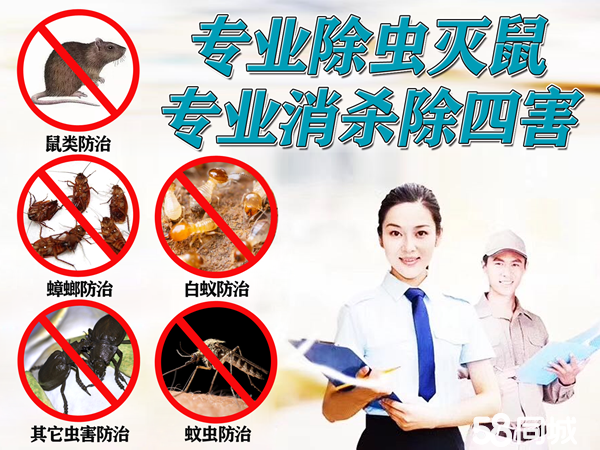专业除四害,消杀除虫除蚁提供灭跳蚤、灭蚂蚁、除蟑螂服务