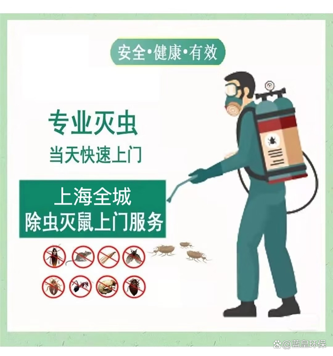 上海杀虫公司,上门除虫灭鼠,上海除四害消杀四害24小时上门