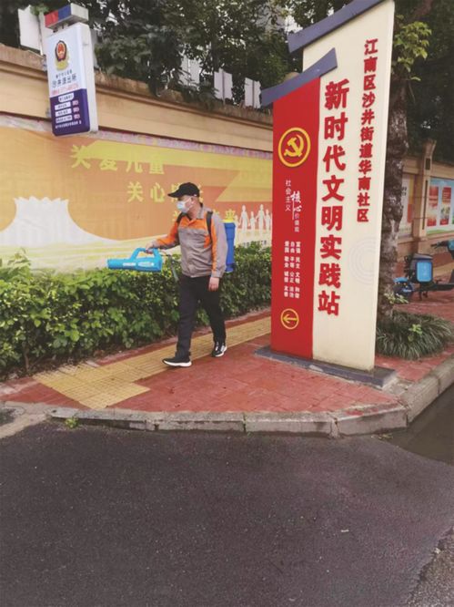 清除四害孳生地，筑牢邕城健康防线——专业消杀服务助力城市卫生防护