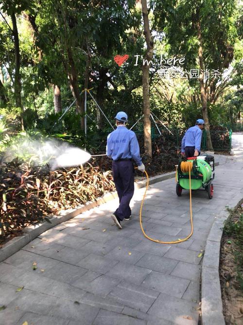 翔虹生态科技公司新安街道四害消杀工作动态（29日）