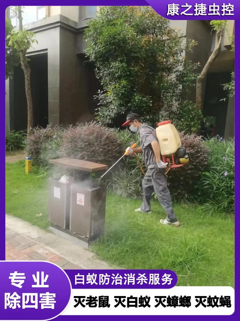 深圳宝安区灭四害公司优选 康之捷灭鼠杀虫，专业白蚁消杀机构