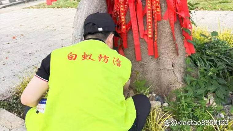 句容市灭臭虫公司电话｜本地快速上门四害消杀服务指南