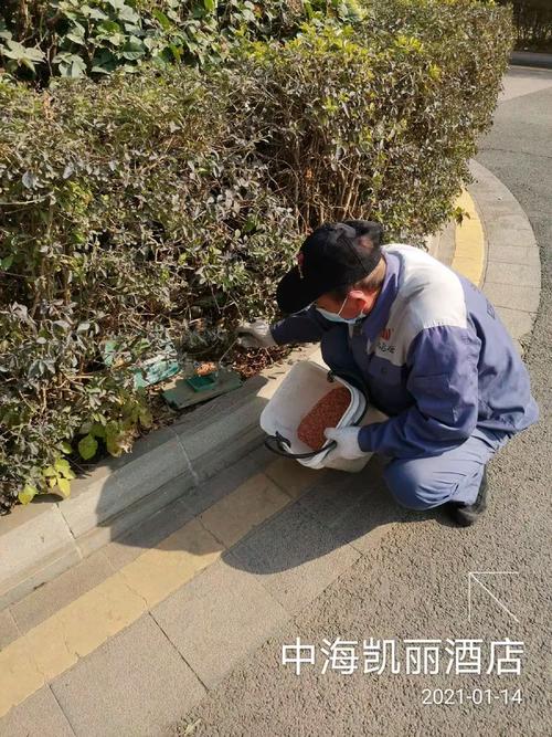 鸿彩云公司开展龙城街道“四害”消杀作业简报